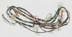 Harness - 2848900800 C00921672 Main Harness [Arcelik]